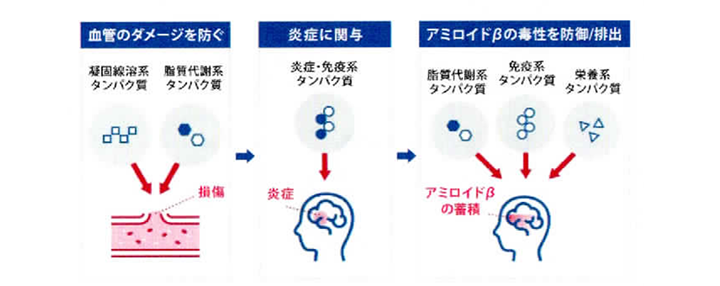MCIスクリーニング検査プラスとは